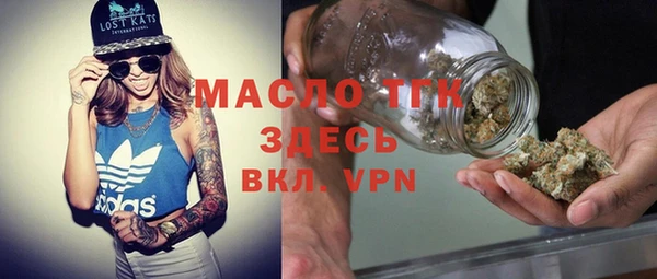 гашик Туринск