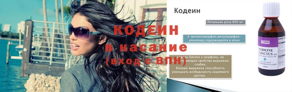 гашик Туринск