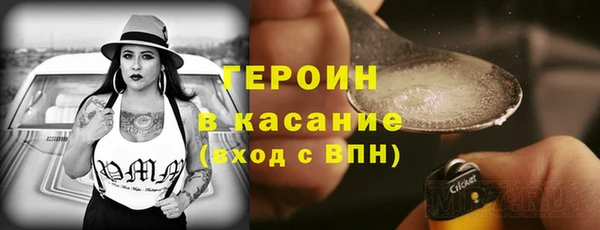 гашик Туринск