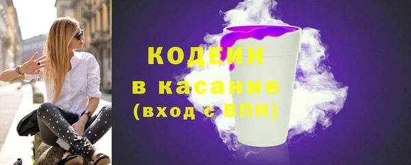 гашик Туринск