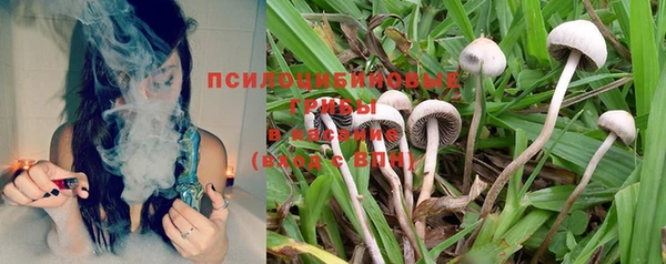 марки nbome Тутаев