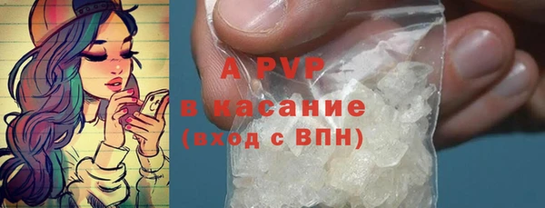 гашик Туринск