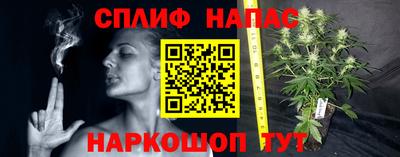 шишки Бузулук