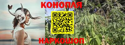 шишки Бузулук