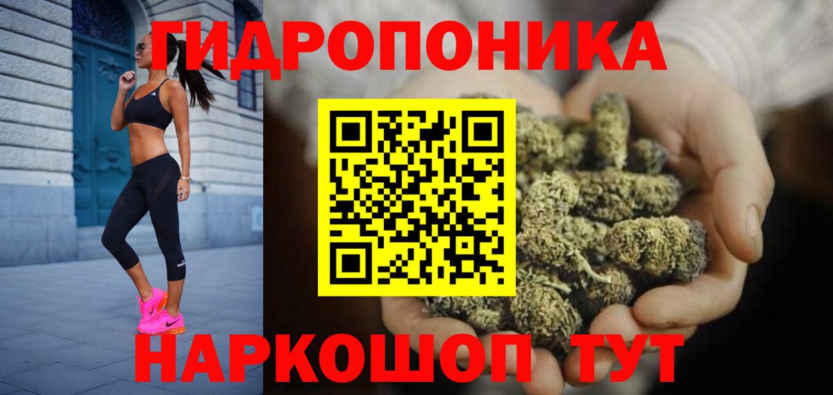 Конопля марихуана Иваново